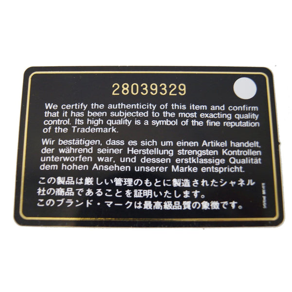 CHANEL Wallet on Chain WOC Metallic Leather Crossbody Bag Gold