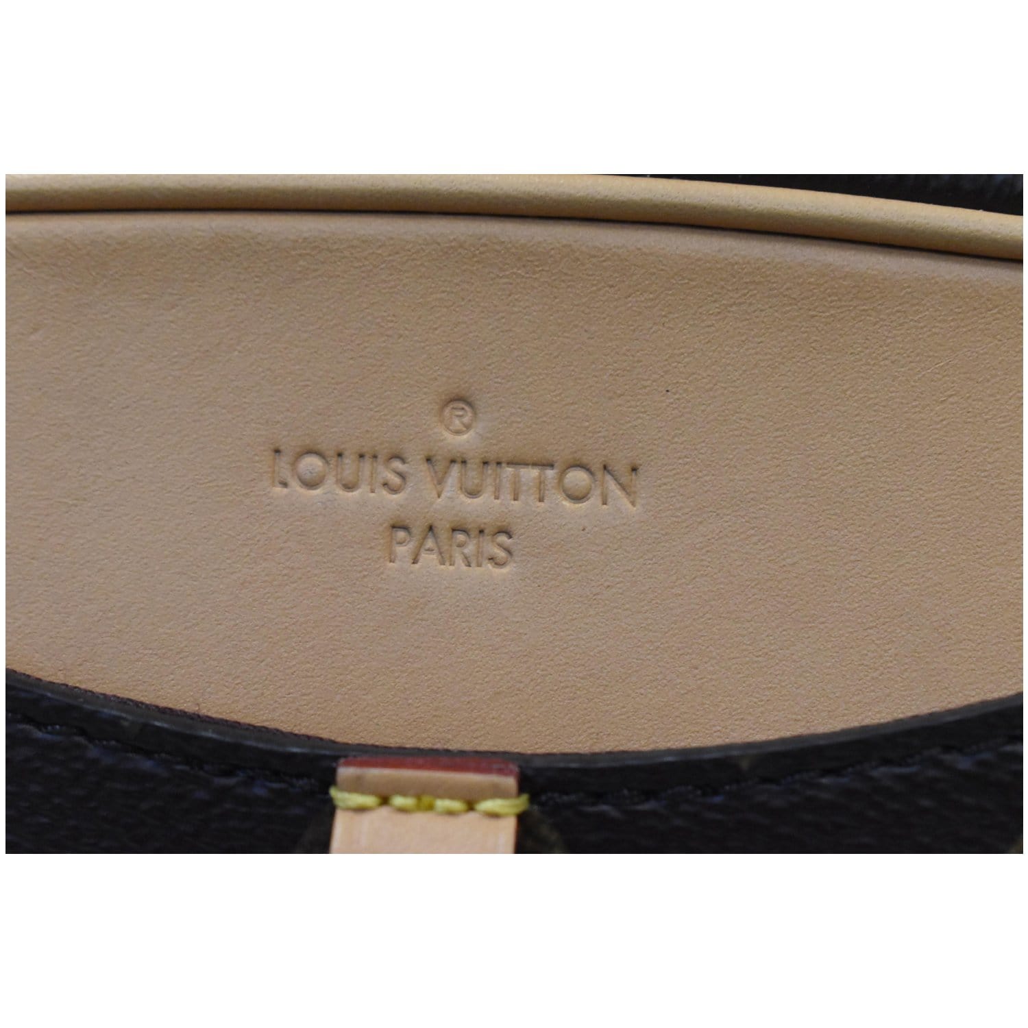 Louis Vuitton Paris Historic Mini Monogram Leather 