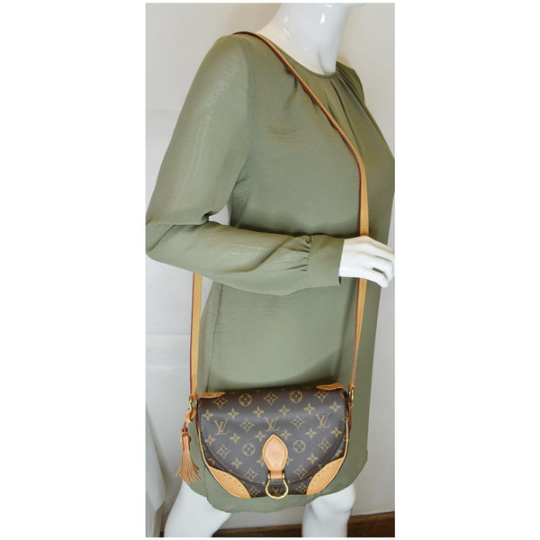 Louis Vuitton Saint Cloud NM Monogram Canvas Bag Brown - shoulder bag