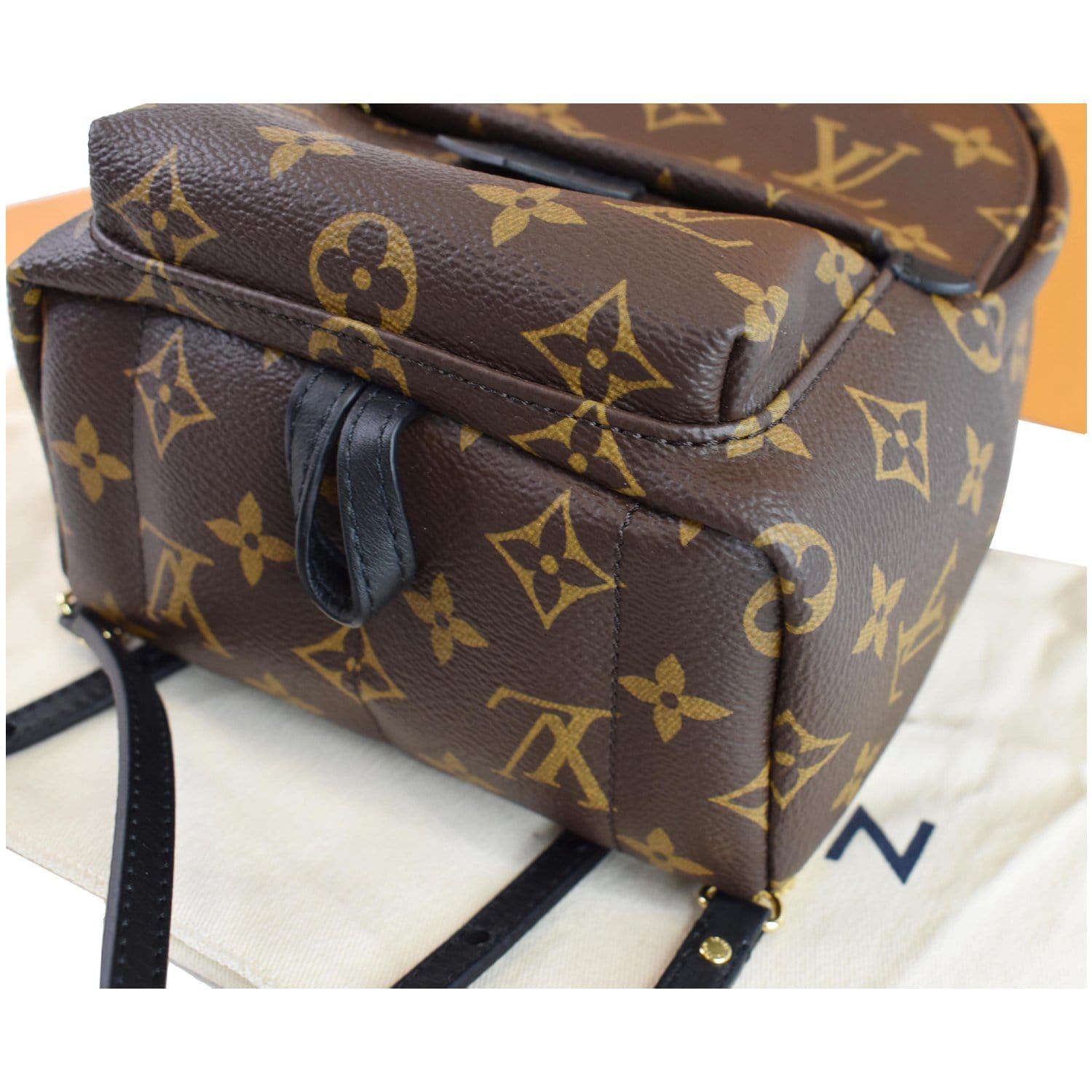 Palm springs cloth backpack Louis Vuitton Brown in Cloth - 25256264