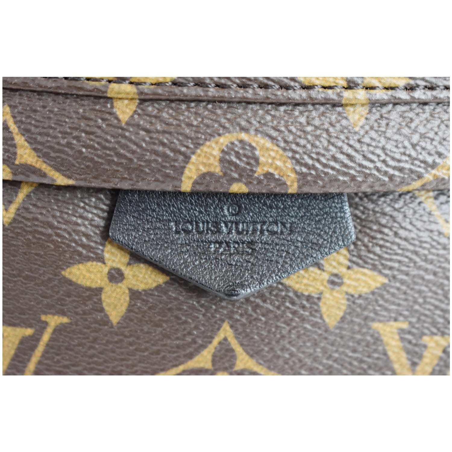 Louis Vuitton Monogram Palm Springs PM - Brown Backpacks, Handbags -  LOU807746