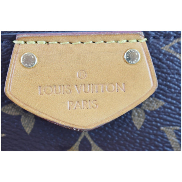 Louis Vuitton Turenne MM Monogram Canvas PARIS Bag