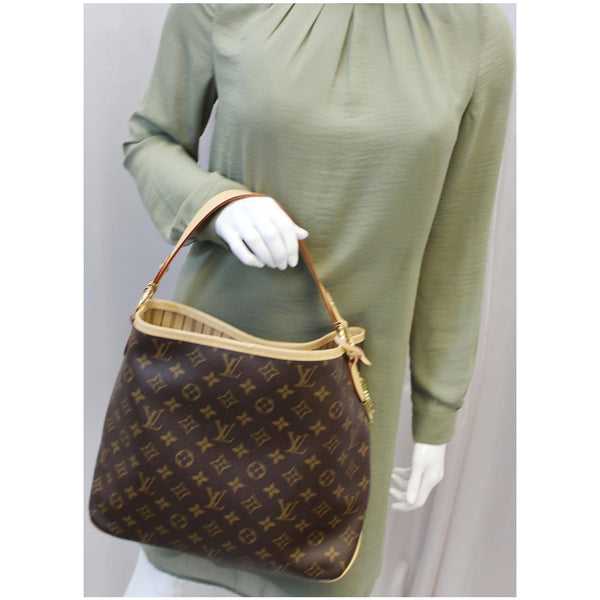 LOUIS VUITTON Delightful PM NM Monogram Canvas Shoulder Bag Brown