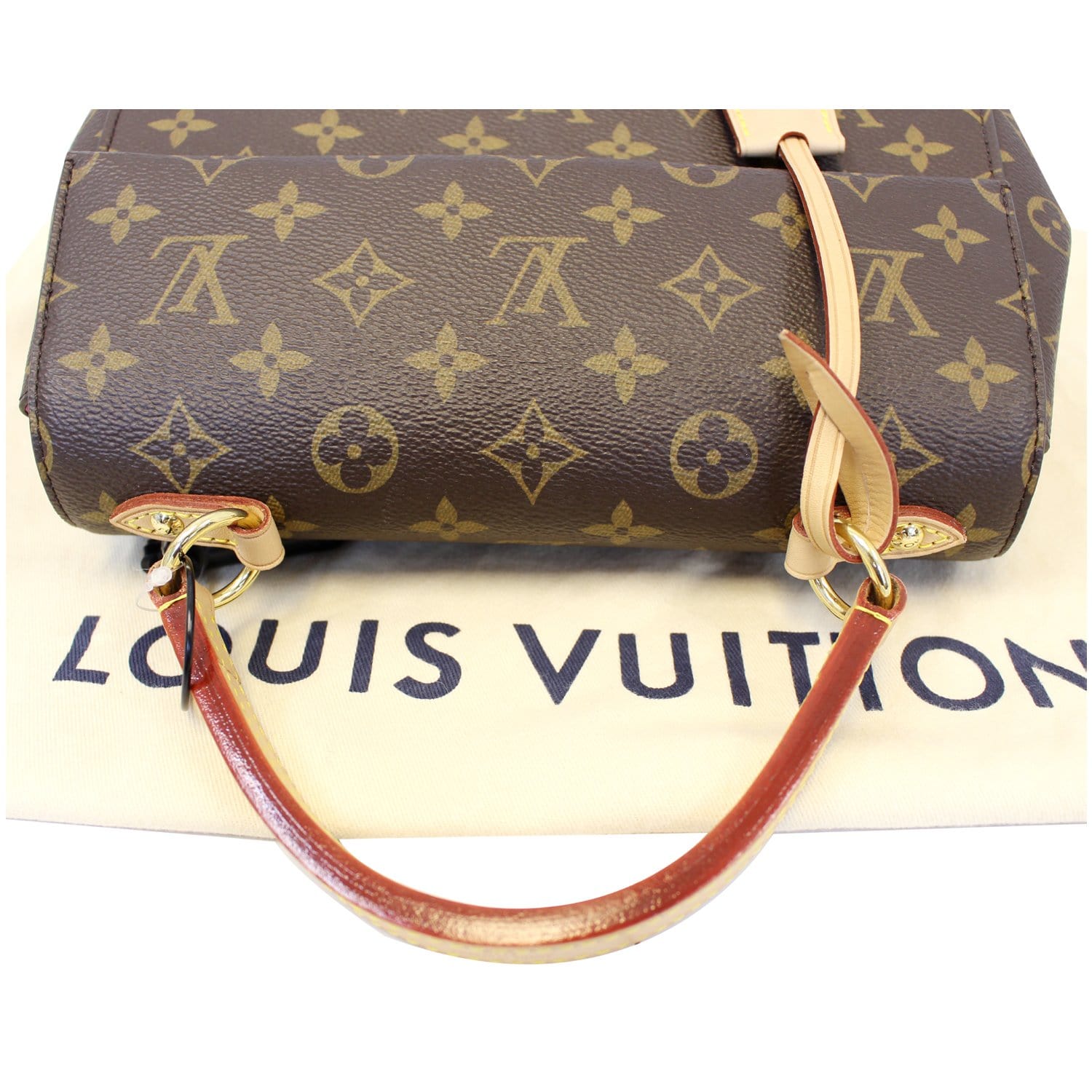 Louis Vuitton Monogram Canvas and Leather Cluny BB Bag Louis