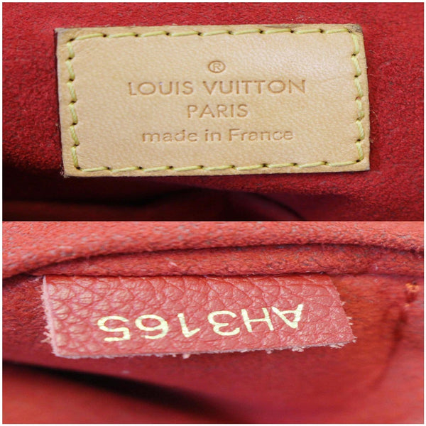 Louis Vuitton Gaia Shoulder Bag Monogram Canvas - logo