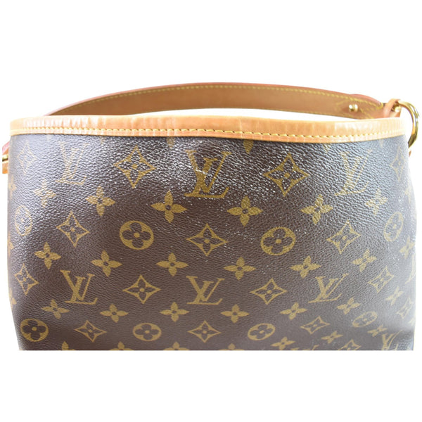 Louis Vuitton Delightful PM Monogram Canvas Pouch