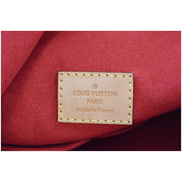 LOUIS VUITTON Gaia Monogram Canvas Shoulder Bag Brown