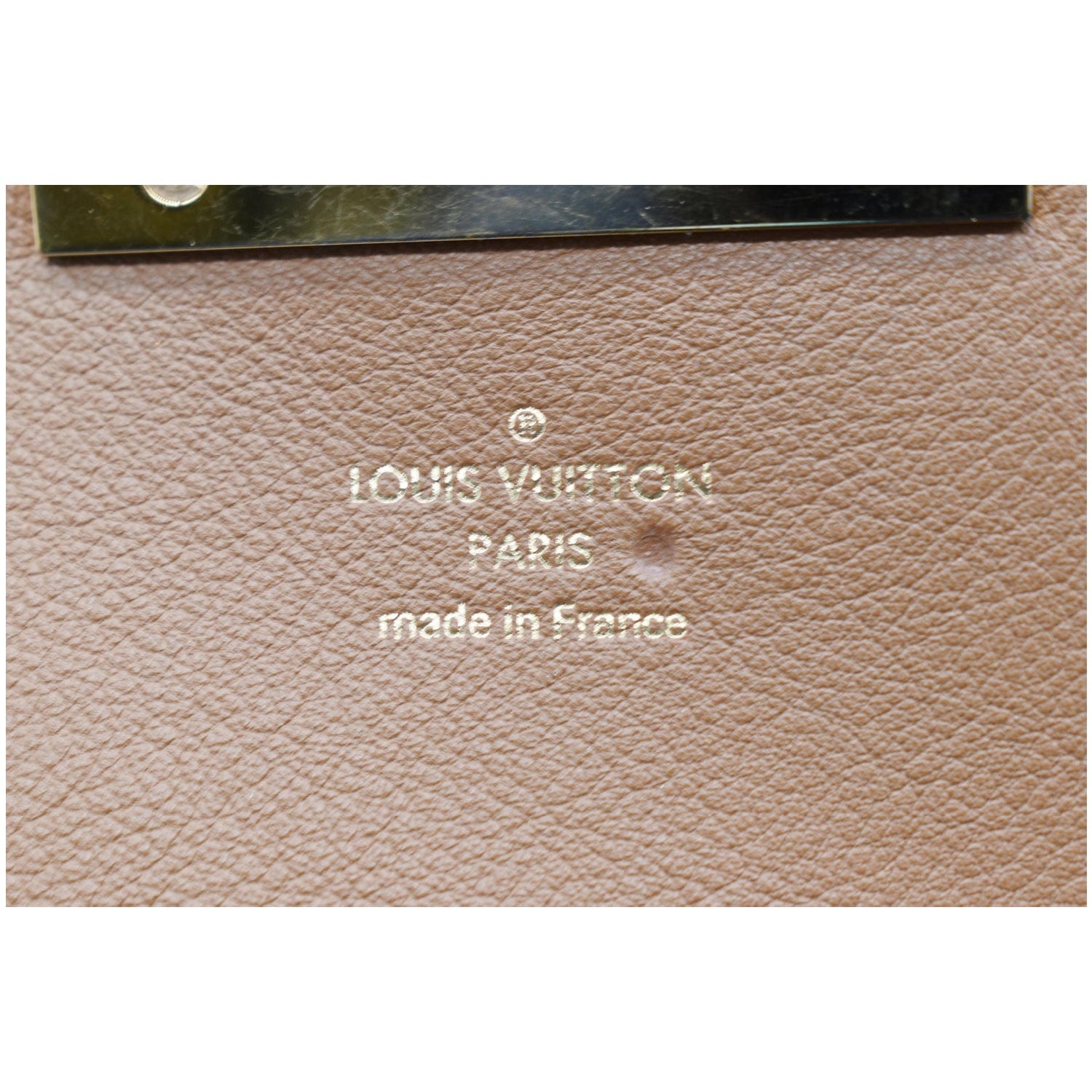 Louis Vuitton Olympe Handbag 333253