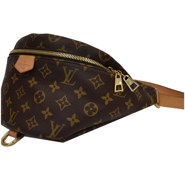 LOUIS VUITTON Monogram Canvas Bumbag Brown