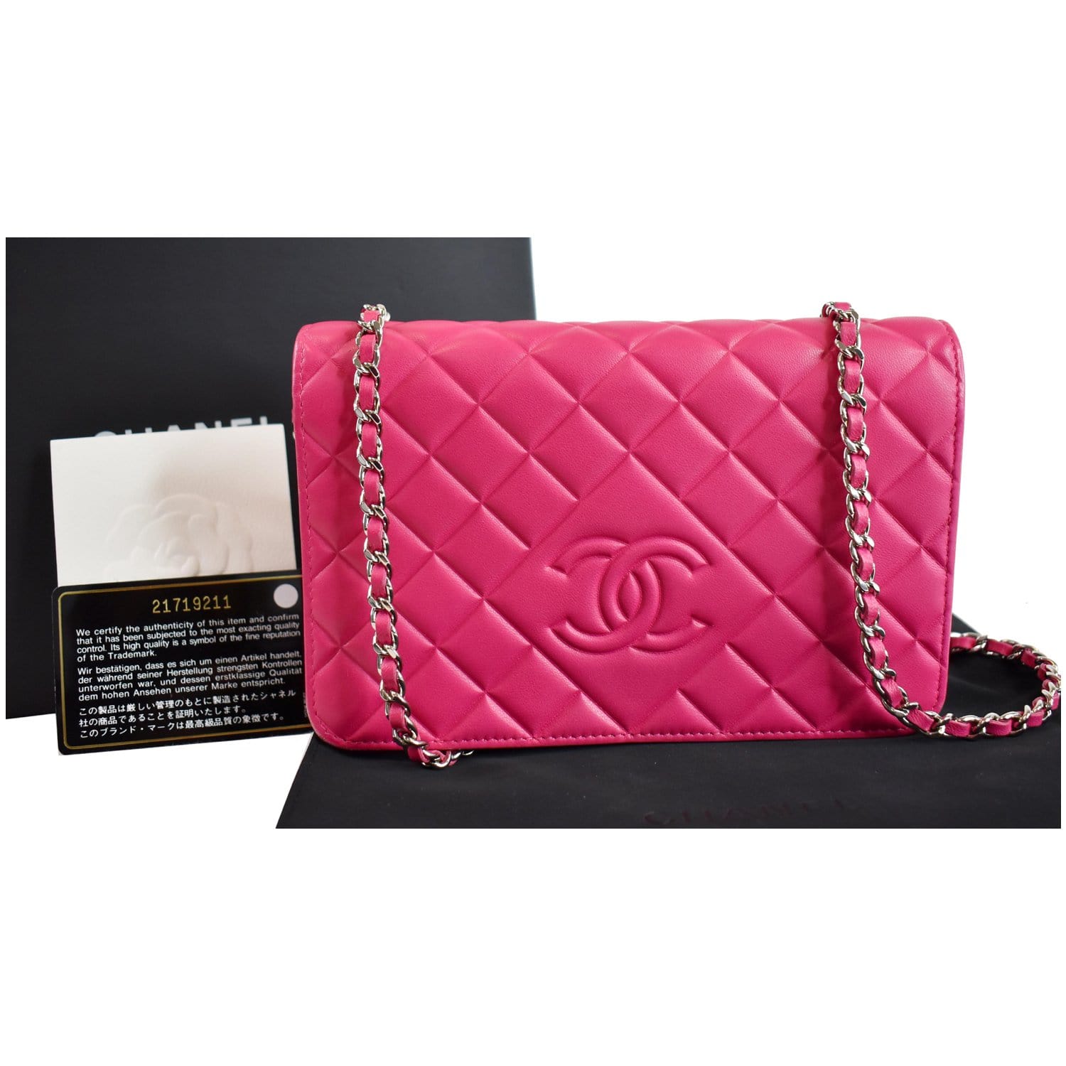 Shop CHANEL CHAIN WALLET 2023 Cruise Flap Bag with Top Handle
