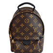 LOUIS VUITTON  Palm Springs Mini Monogram Canvas Backpack Brown