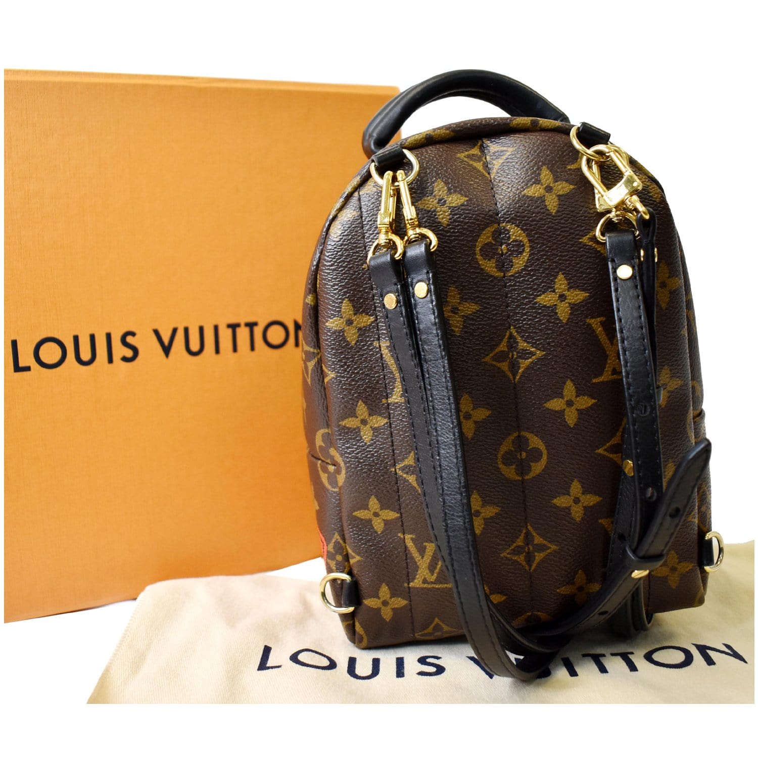 louis vuitton backpack girl Louis Vuitton Palm Springs Mini World Tour Backpack