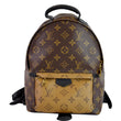 Lv Palm Springs PM Monogram Canvas Backpack bag