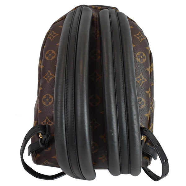 Louis Vuitton Palm Springs PM Monogram Canvas Backpack - shoulder belts