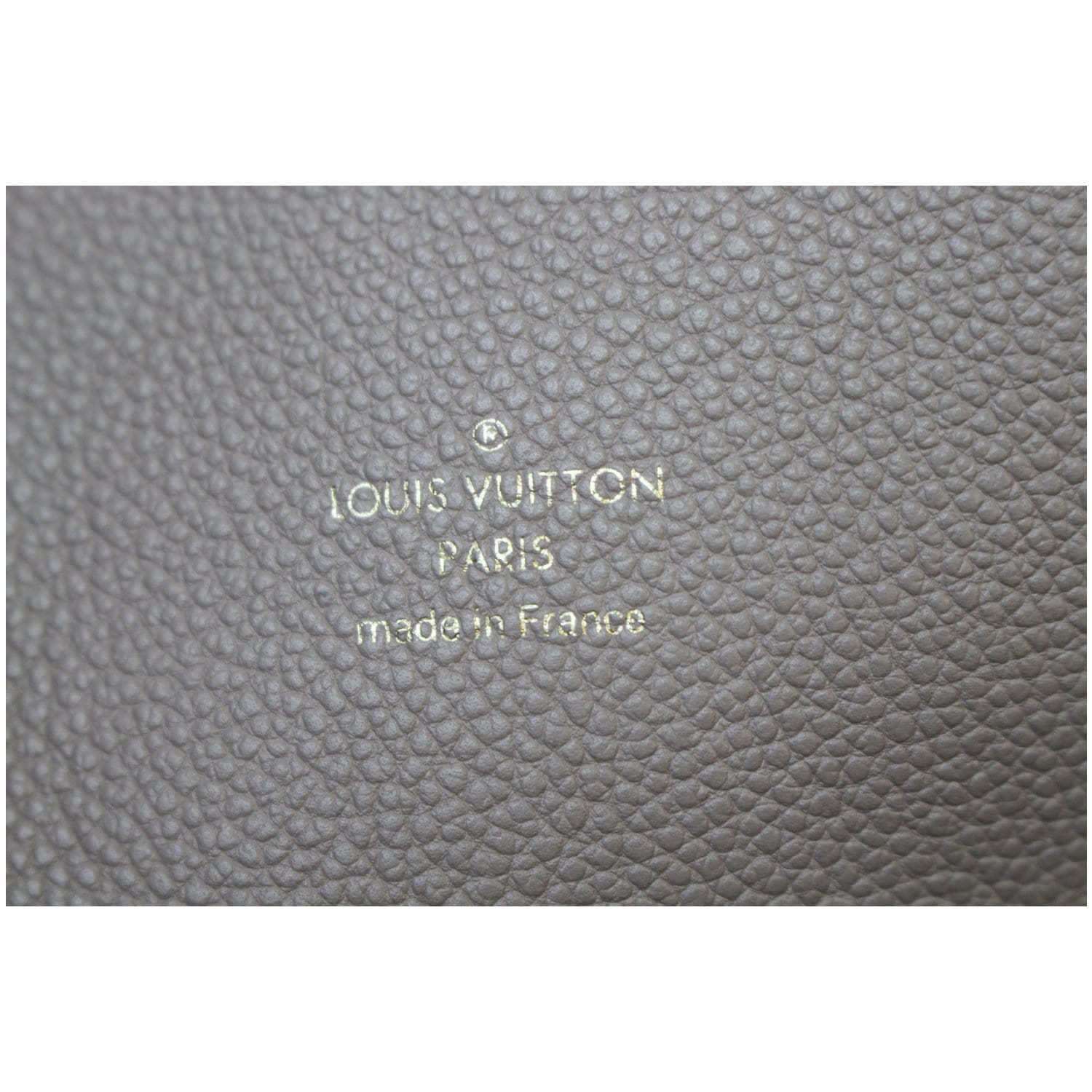 Dropship NEW Louis Vuitton LV Monogram Empreinte Leather Mini
