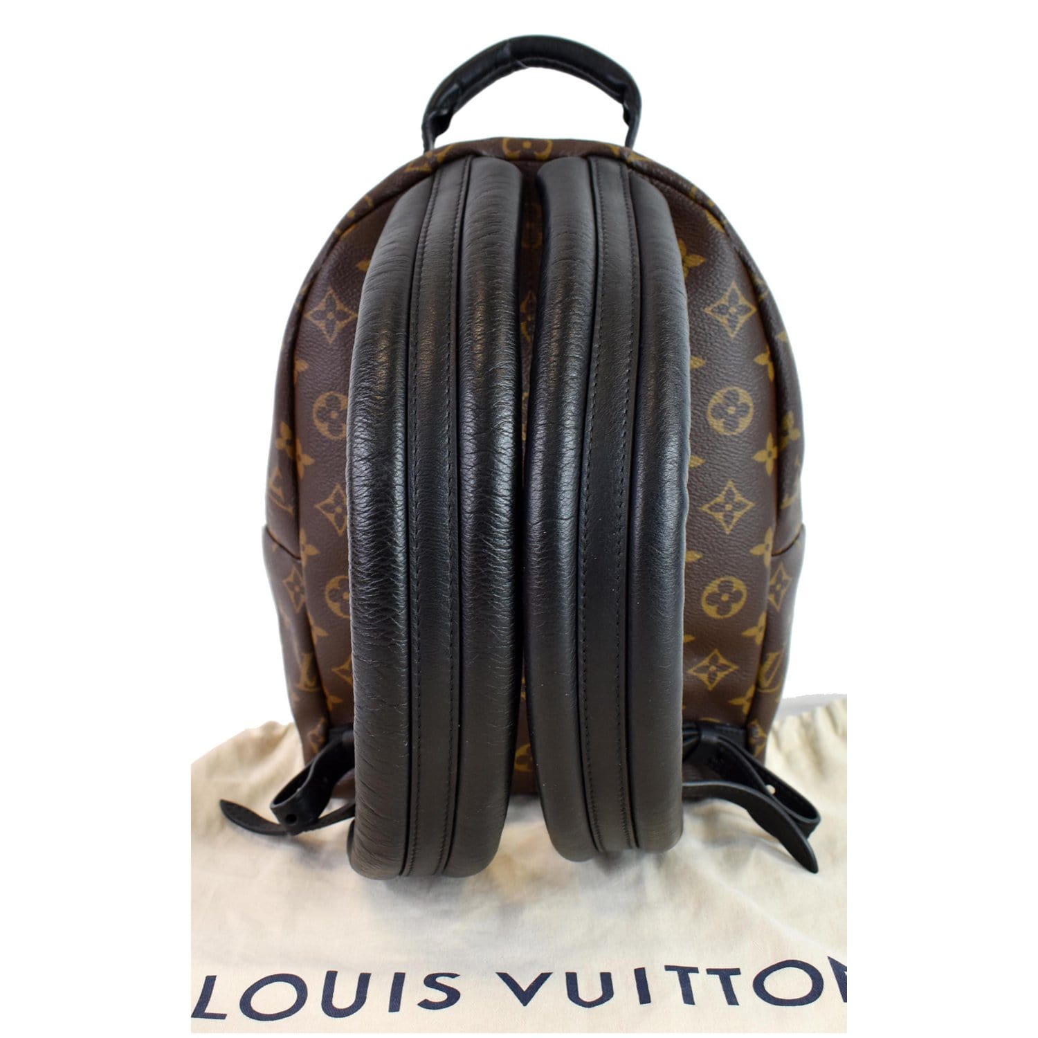 Louis Vuitton Palm Springs Backpack Reverse Monogram Canvas PM