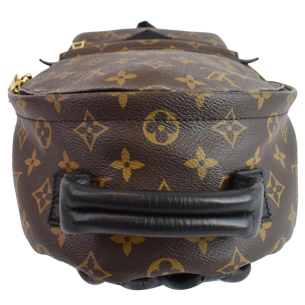 Louis Vuitton Palm Springs PM Monogram Canvas Backpack - top leather handle