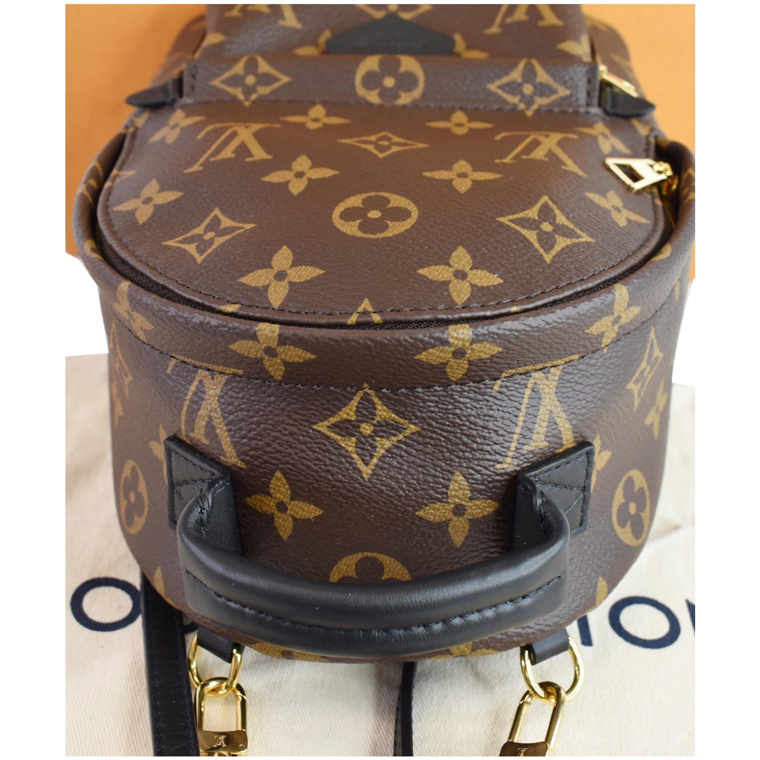 Palm springs cloth backpack Louis Vuitton Brown in Cloth - 31038981