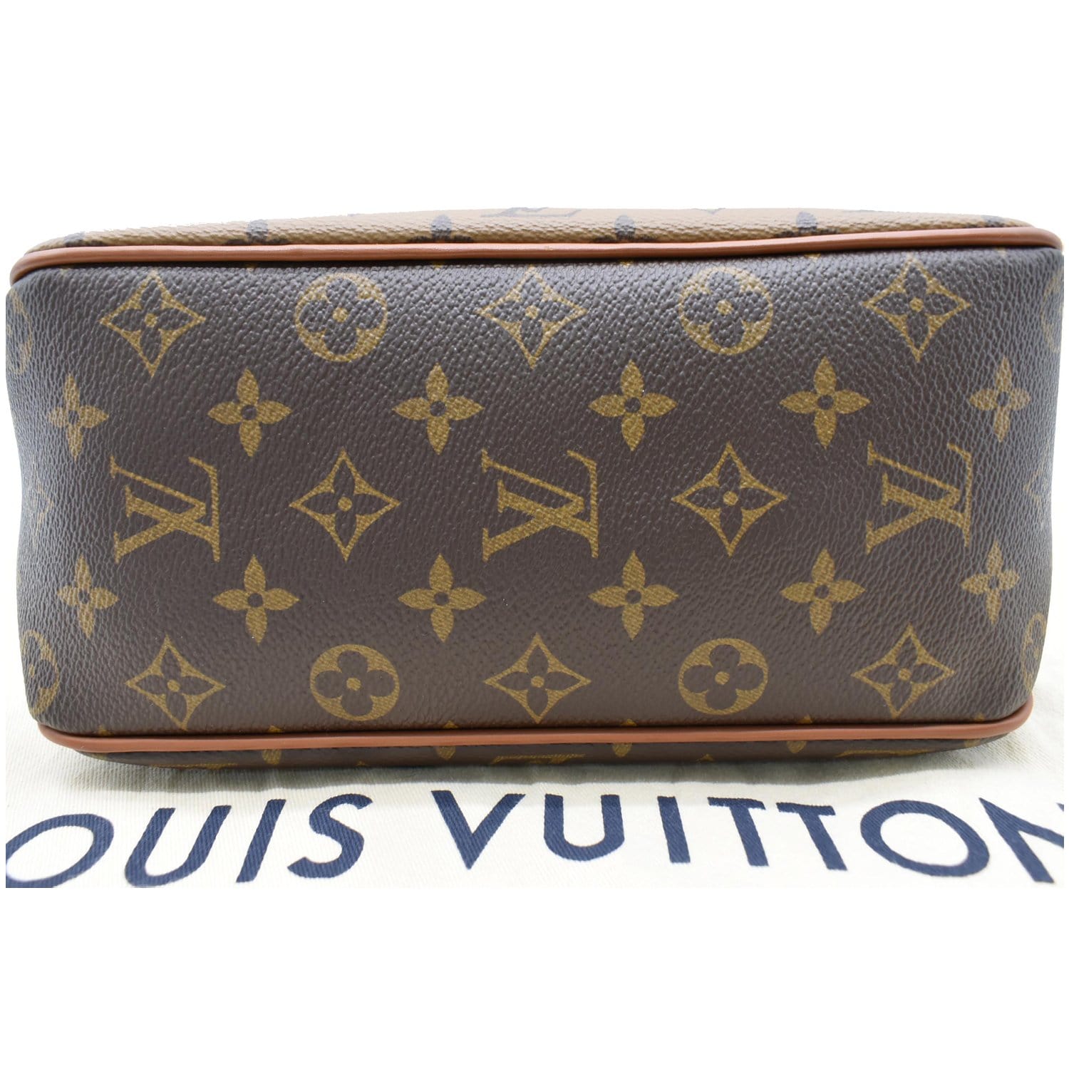 Louis Vuitton Reverse Monogram Dauphine Hobo Pm 575348