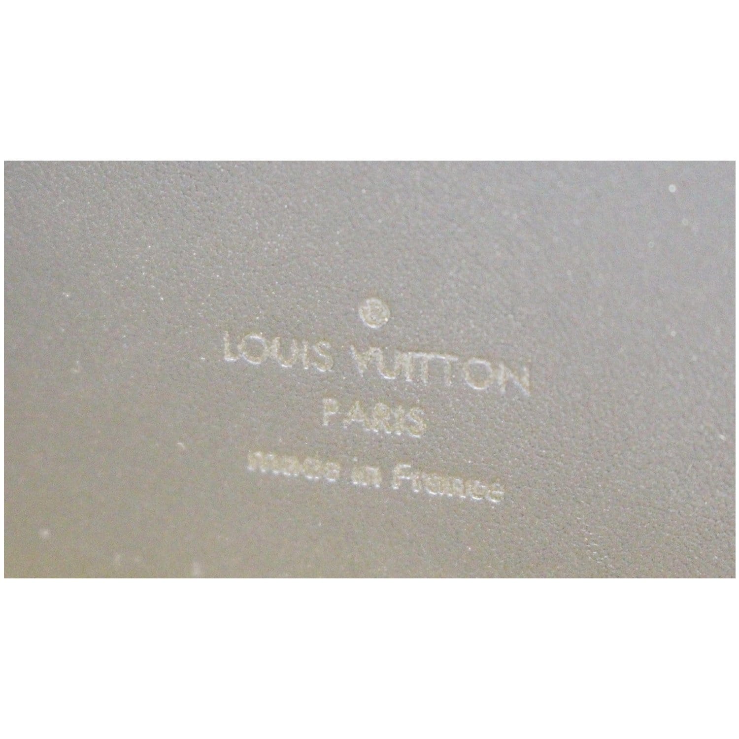 Louis Vuitton Antarctica Damier Infini Leather Pocket Organizer