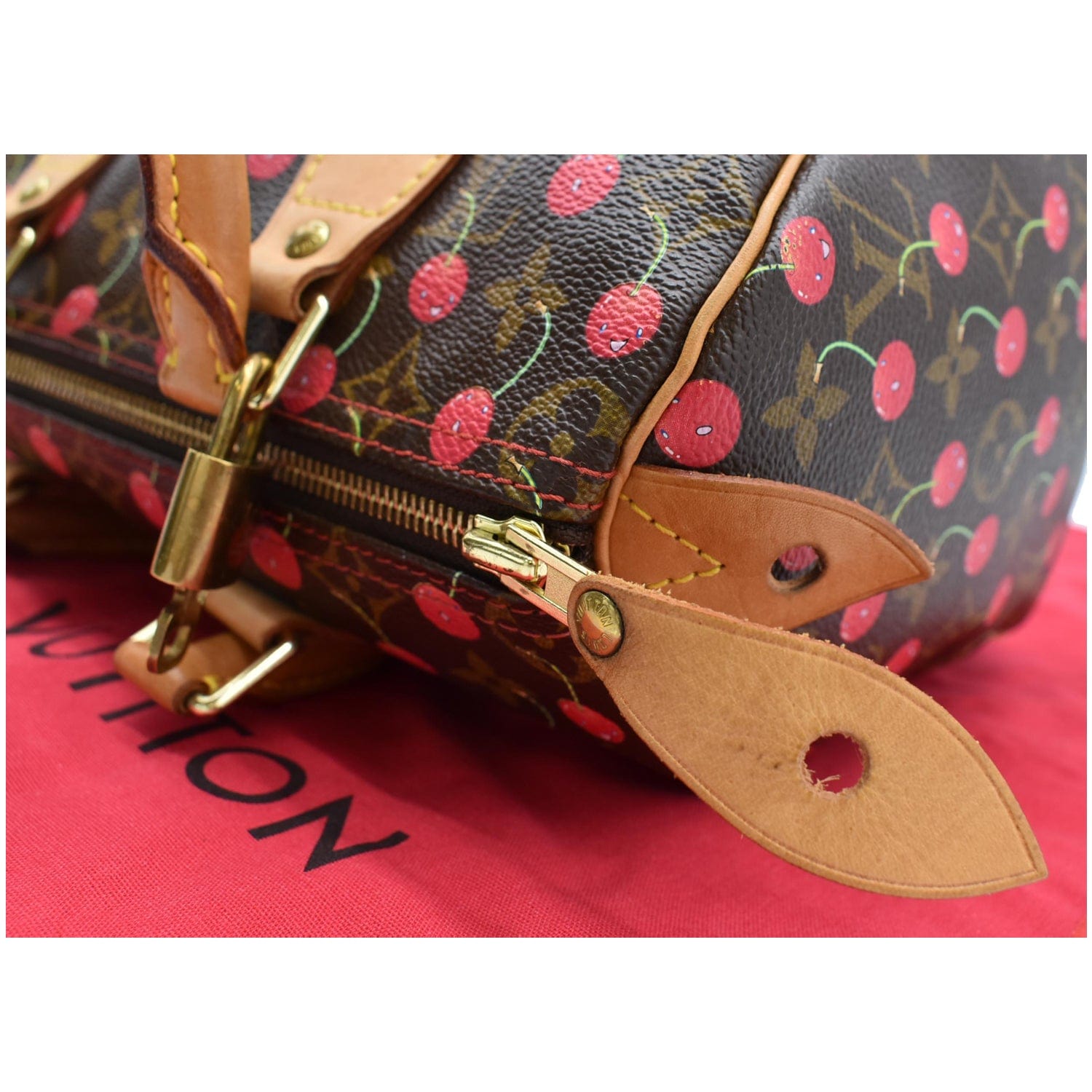 Louis Vuitton Speedy 25 Cerises Bag (2005) Reference Guide – Bagaholic