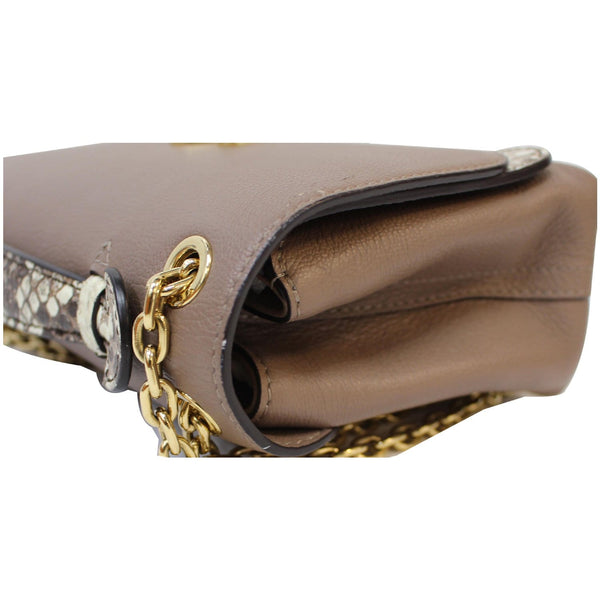Louis Vuitton Python Very Chain Bag side preview