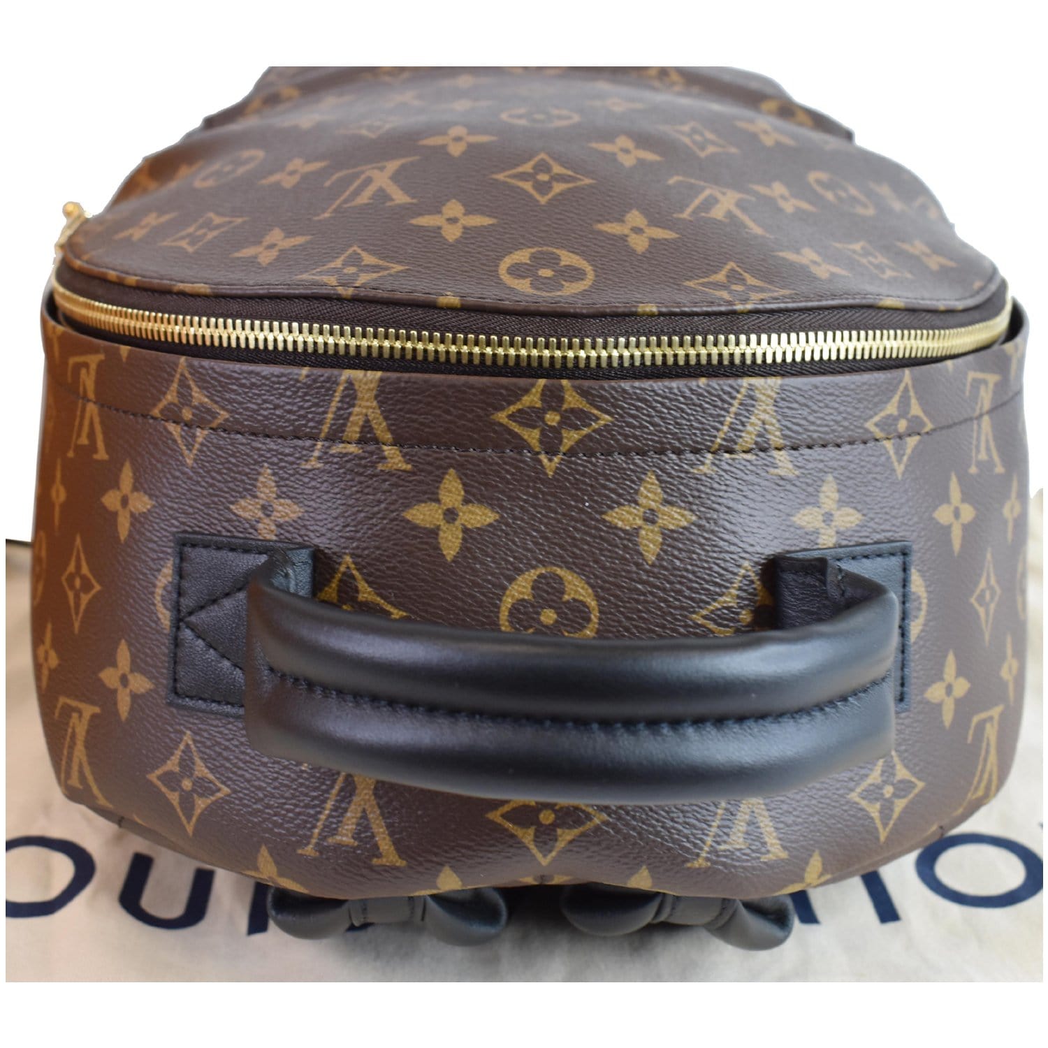Louis Vuitton, Bags, Louis Vuitton Palm Springs Mm Monogram Backpack