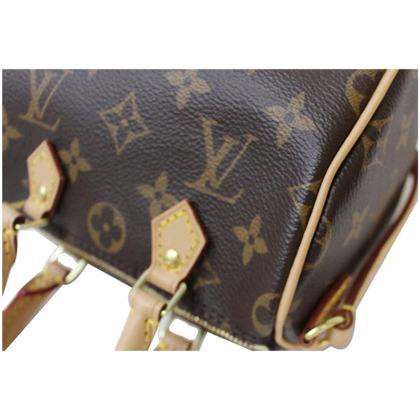 LOUIS VUITTON Nano Speedy Monogram Canvas Crossbody Bag Brown