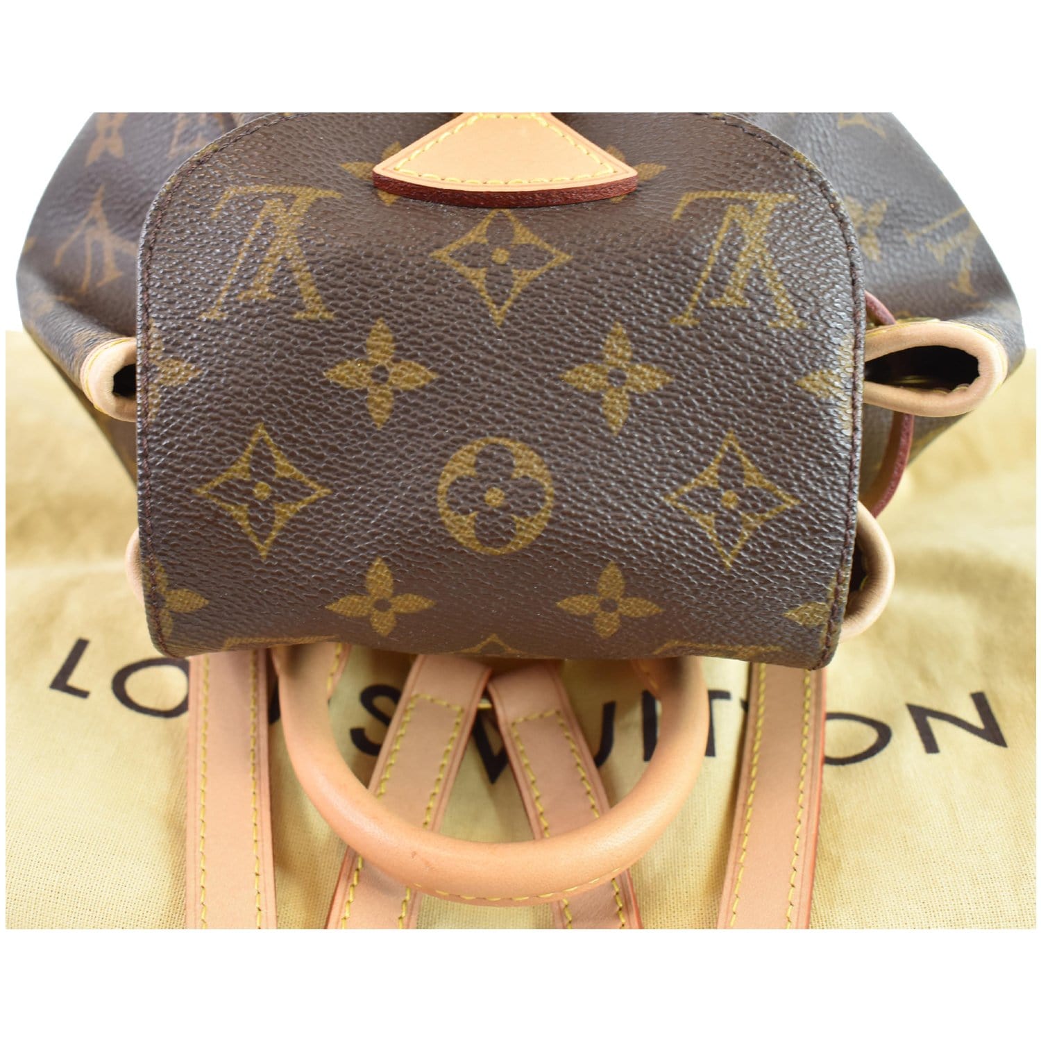 Louis Vuitton Backpack Montsouris Monogram Mini Brown in Coated