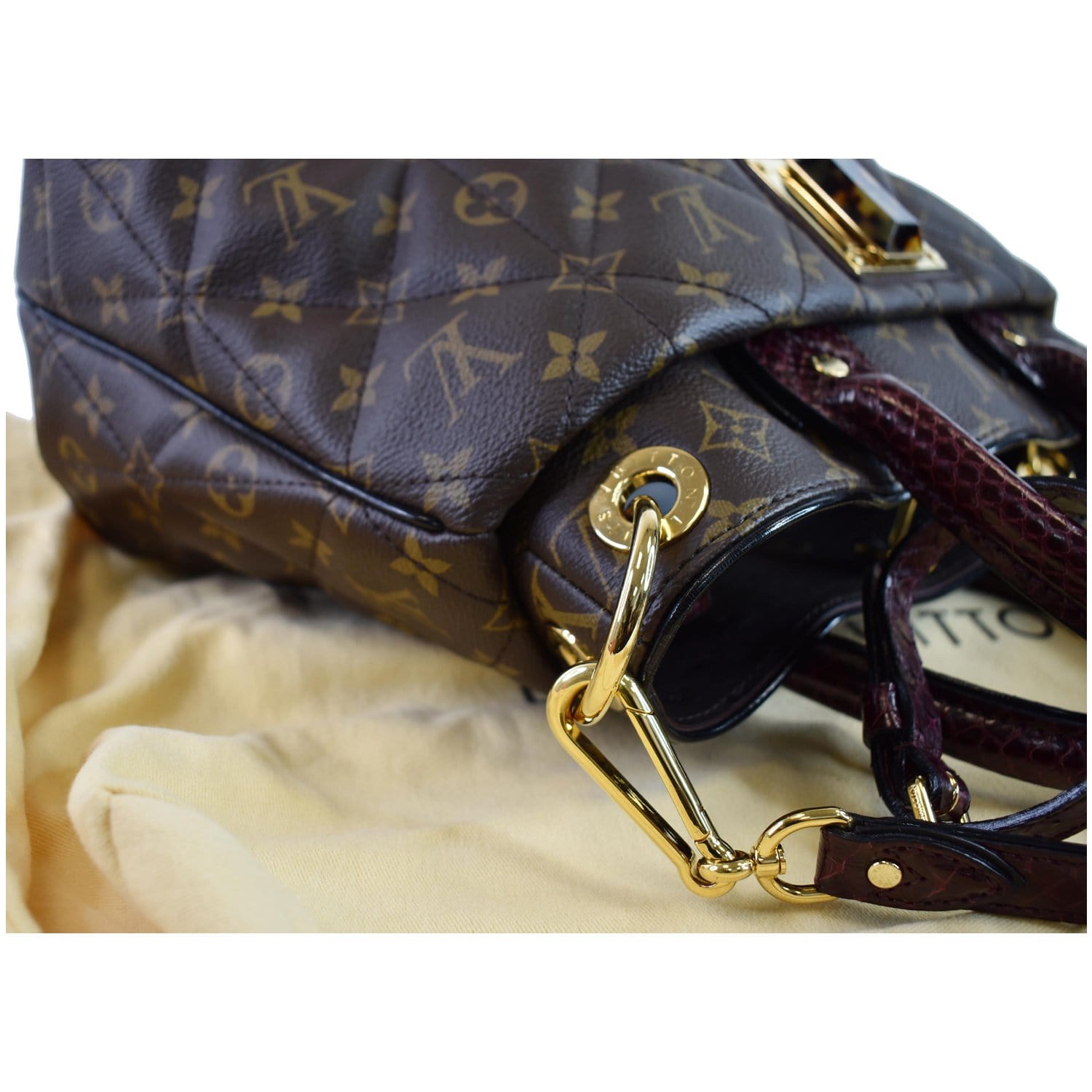 Louis Vuitton Monogram Canvas and Python Limited Edition Etoile Exotique MM Bag  Louis Vuitton
