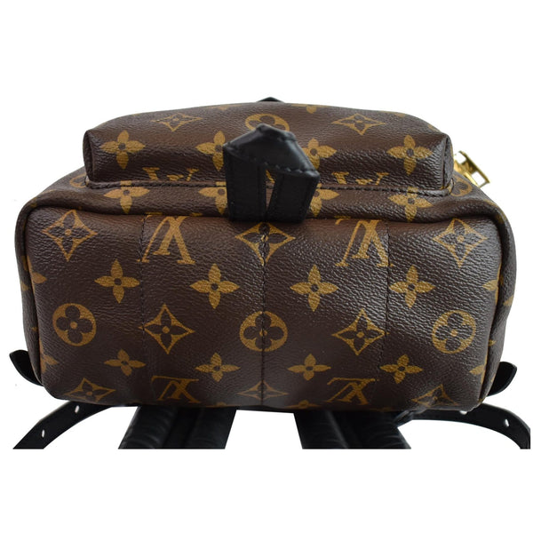 Louis Vuitton Palm Springs PM Monogram Canvas Backpack - bottom view