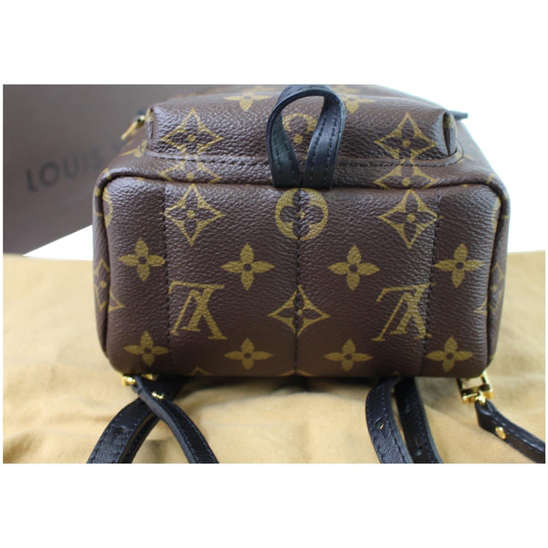 Louis Vuitton Palm Springs Mini Monogram Backpack bag bottom brown