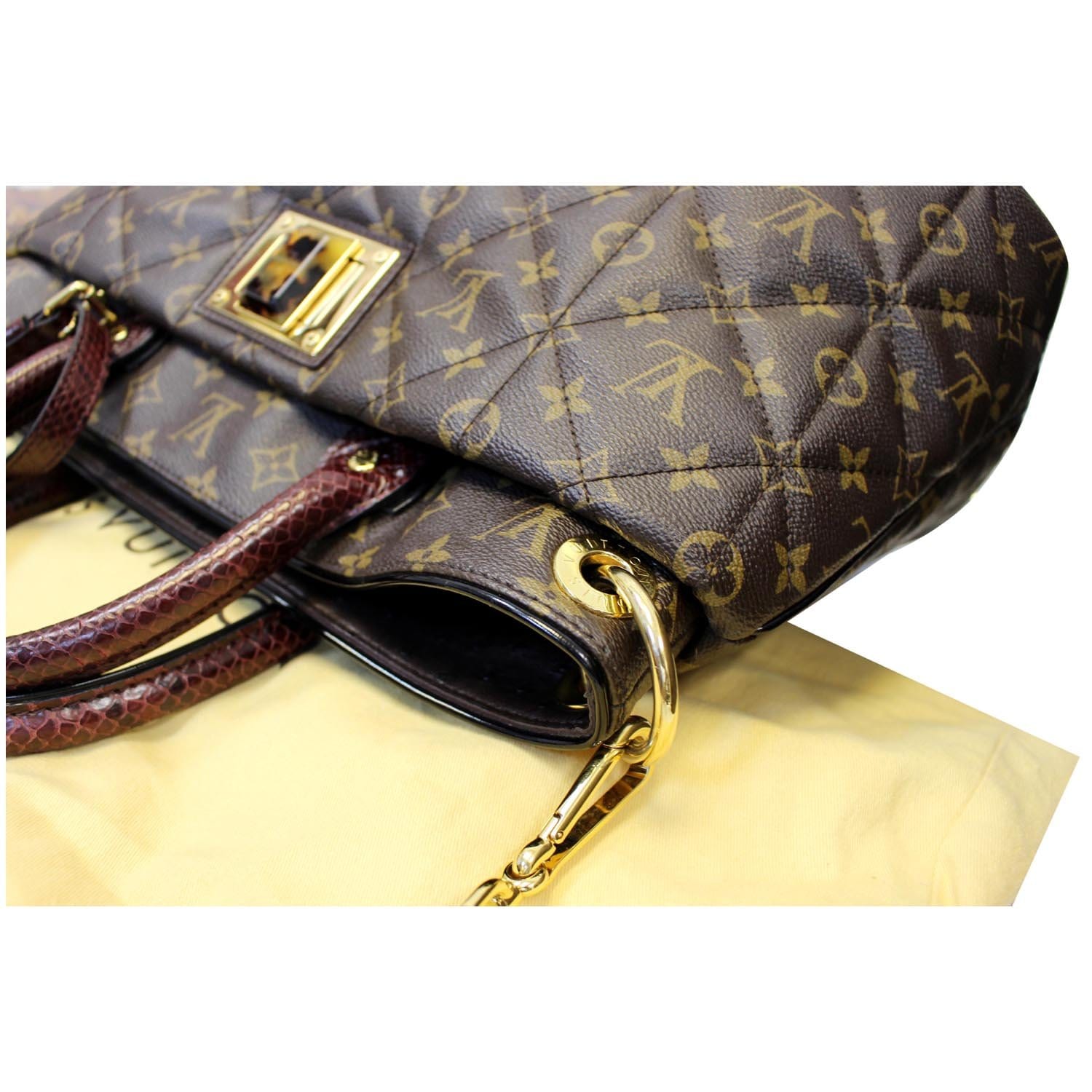 Louis Vuitton Etoile City GM bag – thankunext.us