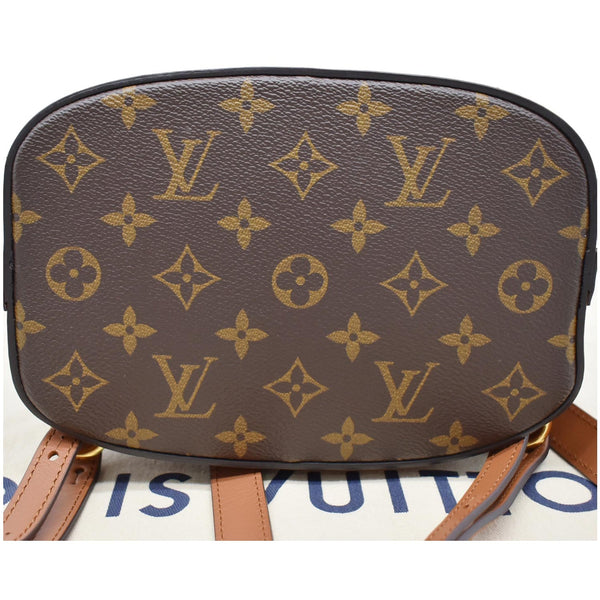 LOUIS VUITTON Dauphine PM Monogram Reverse Canvas Backpack Brown