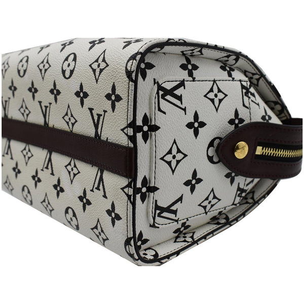 Louis Vuitton Speedy Amazon PM Monogram Canvas Bag