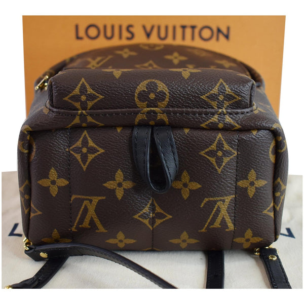 LOUIS VUITTON  Palm Springs Mini Monogram Canvas Backpack Brown