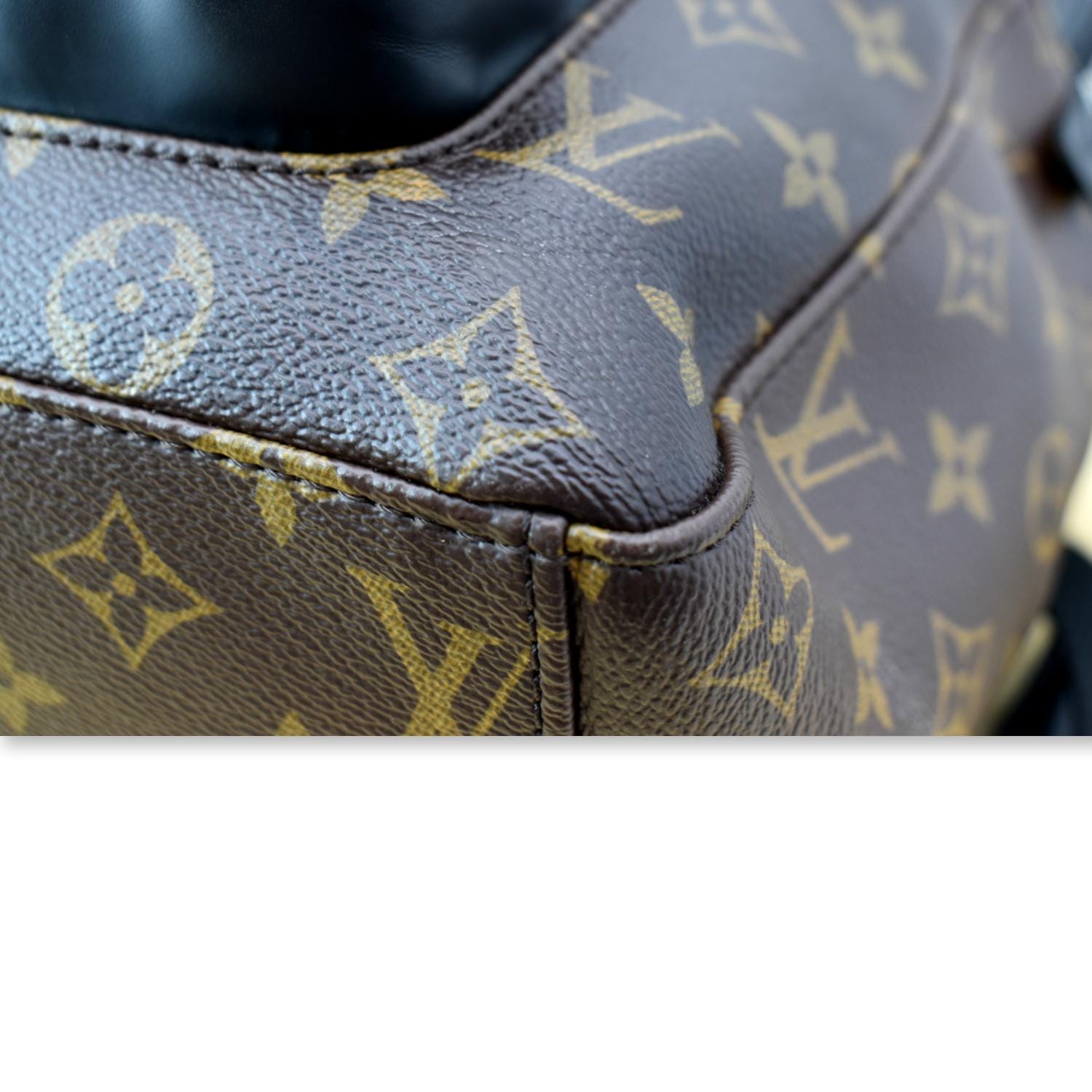 Louis-Vuitton Bag/Backpack