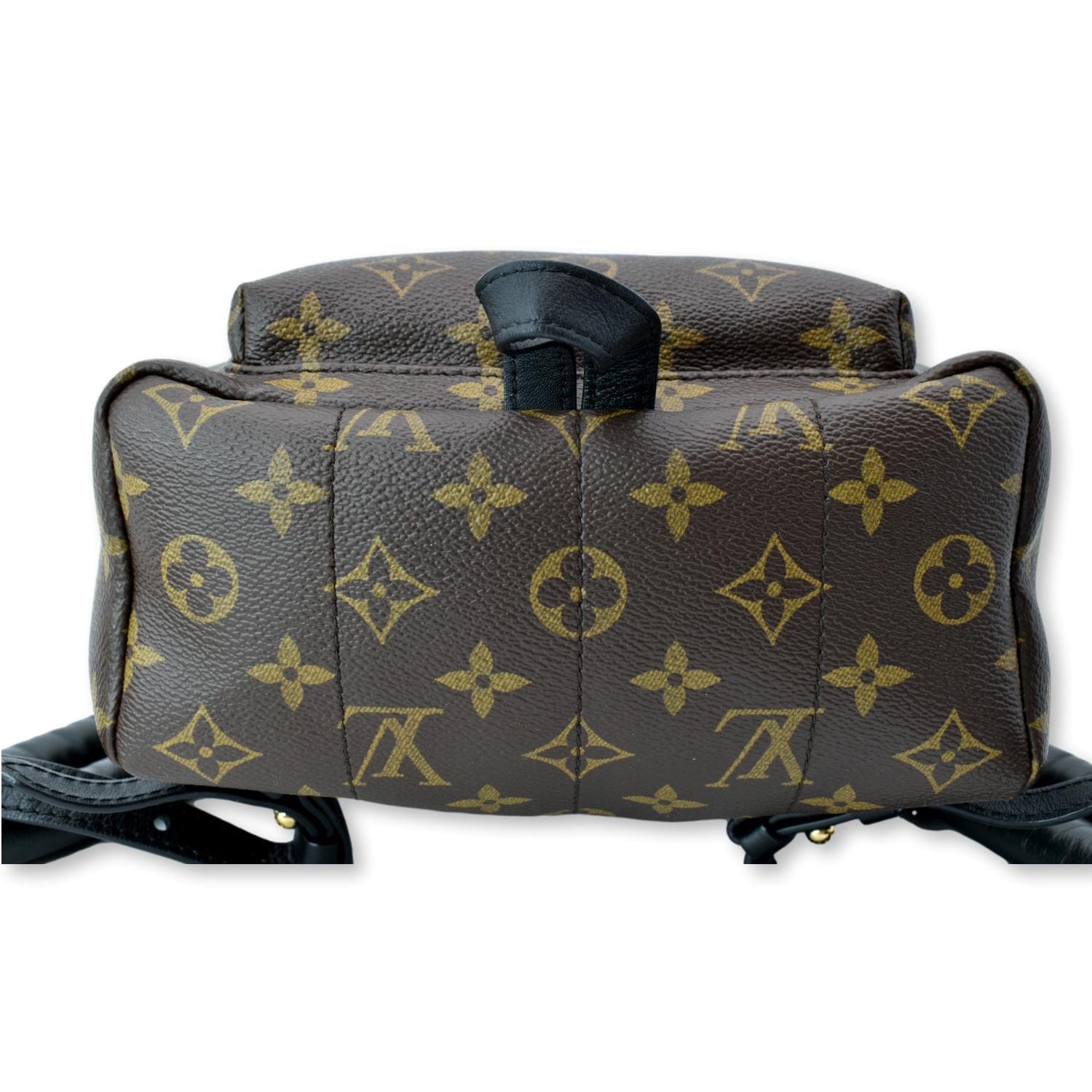 Louis Vuitton Palm Springs Backpack Bag Reference Guide - Spotted Fashion