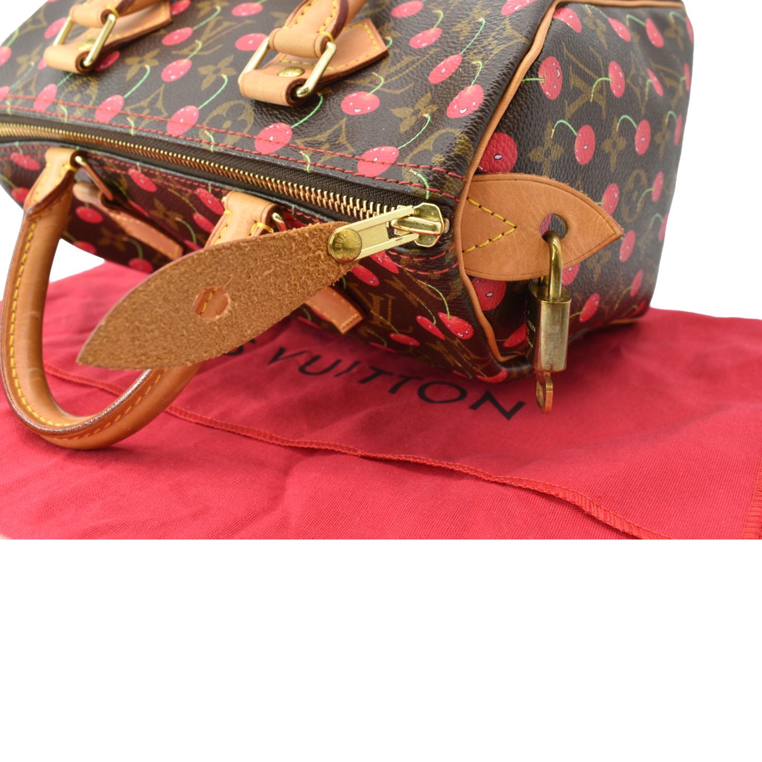 Best 25+ Deals for Louis Vuitton Cherry Handbag