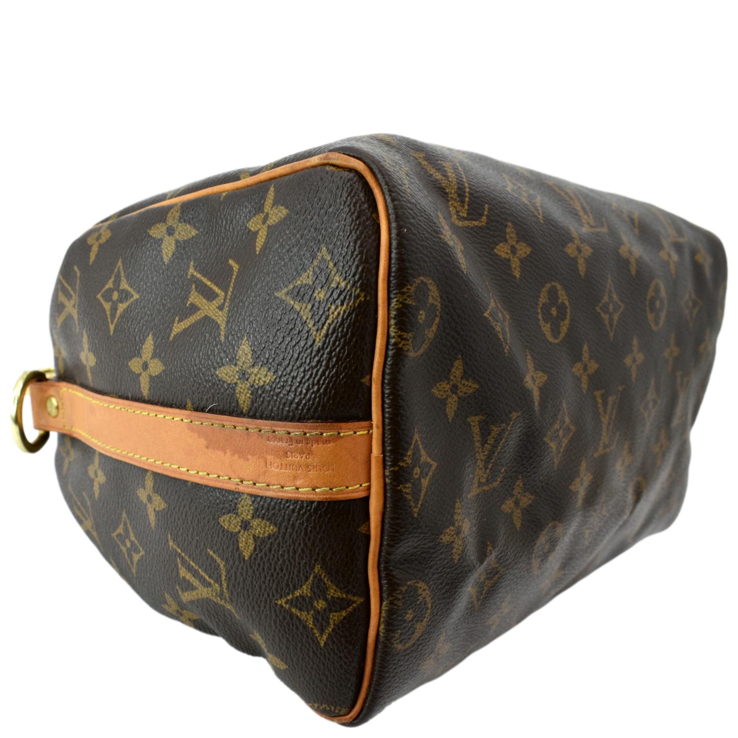 Speedy fabric handbag Louis Vuitton Brown in Cloth - 35315545