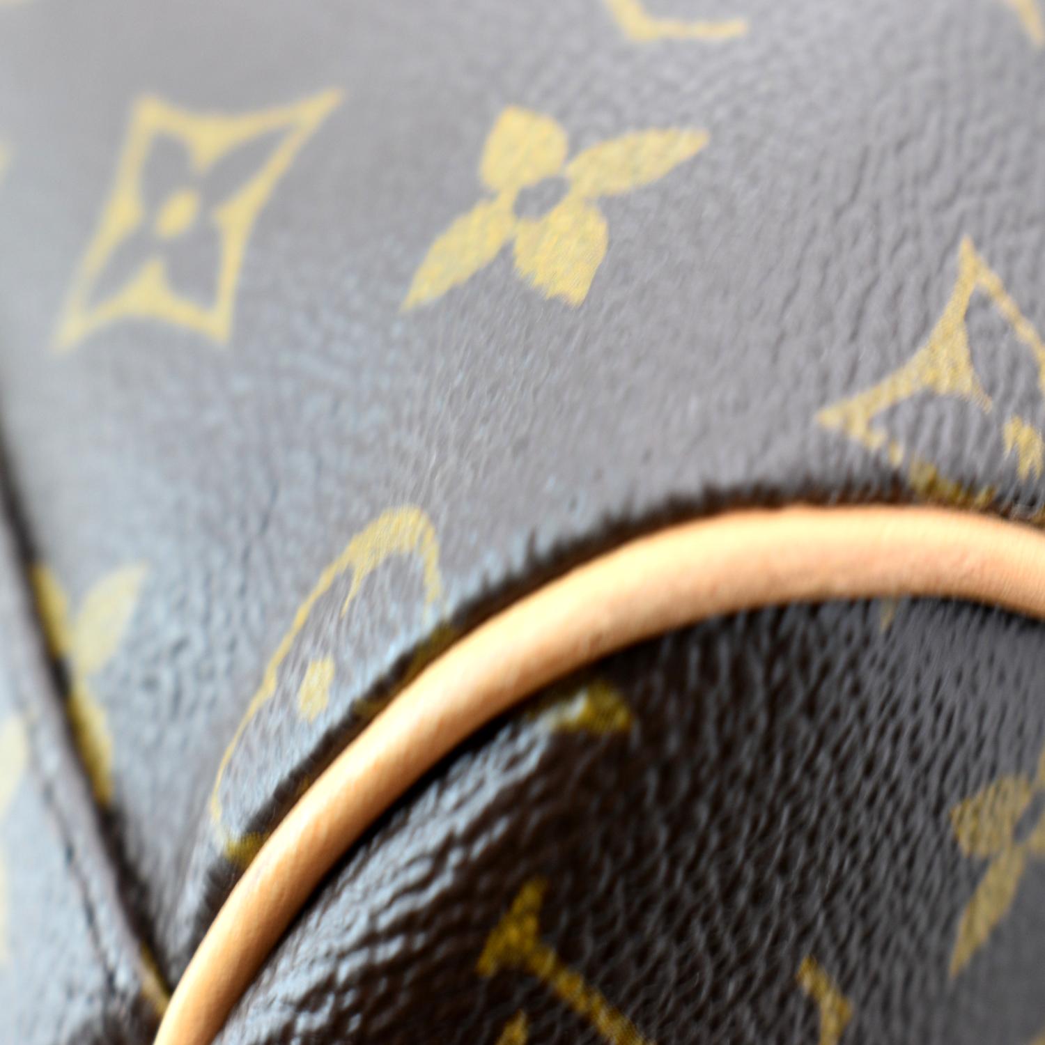 Carry all cloth handbag Louis Vuitton Brown in Cloth - 32570921