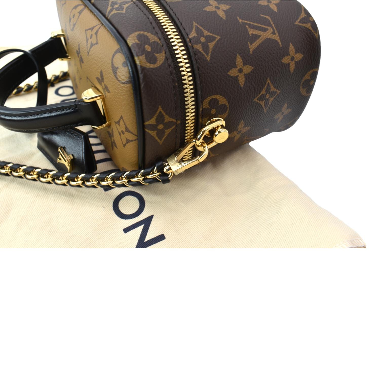 Louis Vuitton Reverse Monogram Vanity PM Review + Plus Size Mod Shots! 