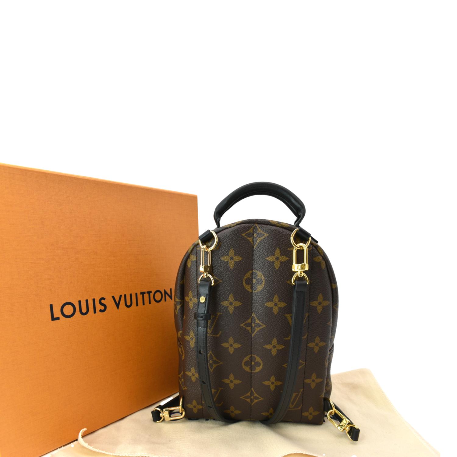 Louis Vuitton Monogram Canvas Mini Palm Springs Backpack Louis Vuitton