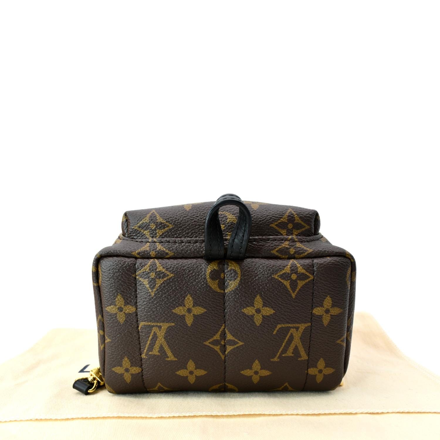louis vuitton backpack 2022 LOUIS VUITTON Palm Springs Mini Monogram Canvas Backpack Brown