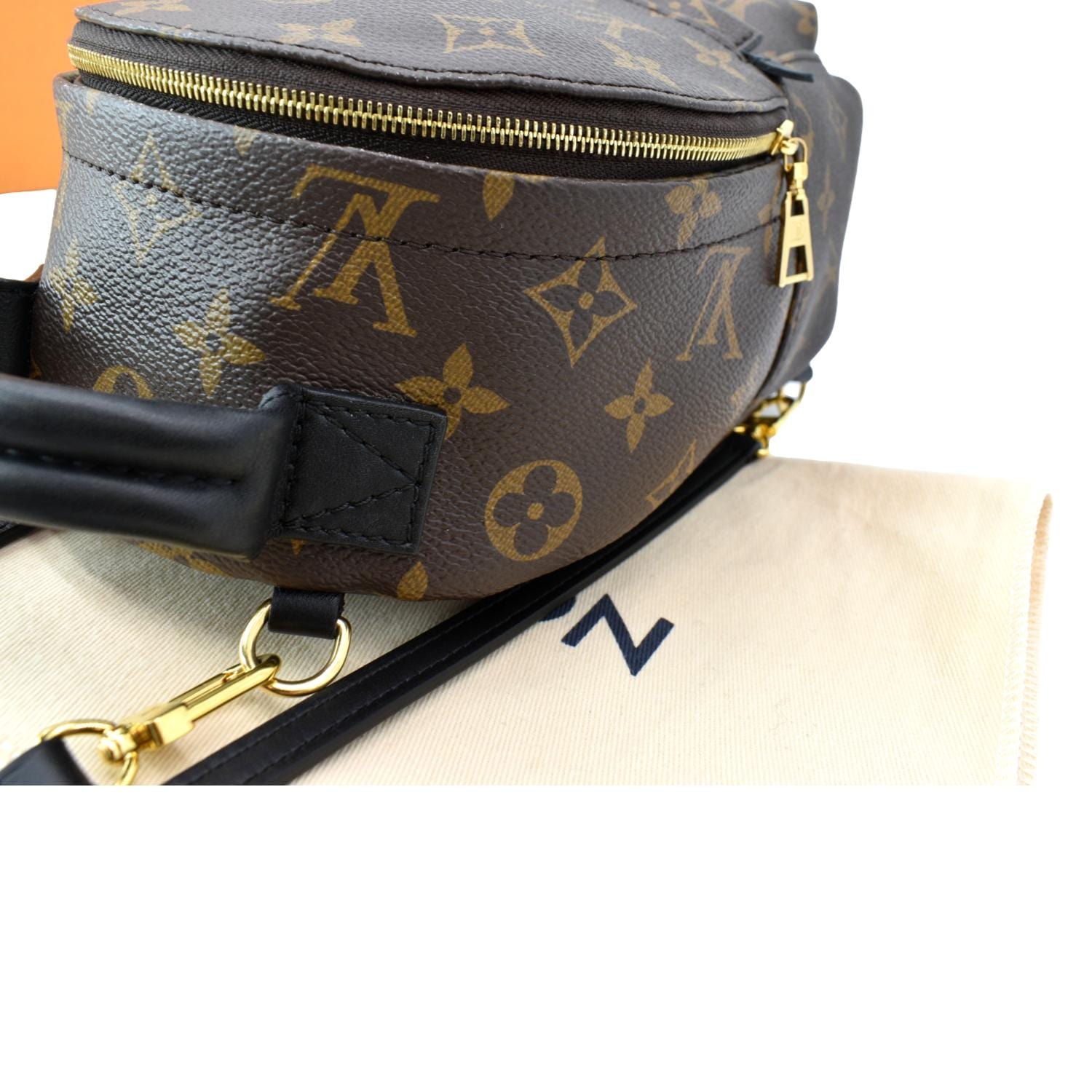 Brown Louis Vuitton Monogram Palm Springs MM Backpack – Designer Revival