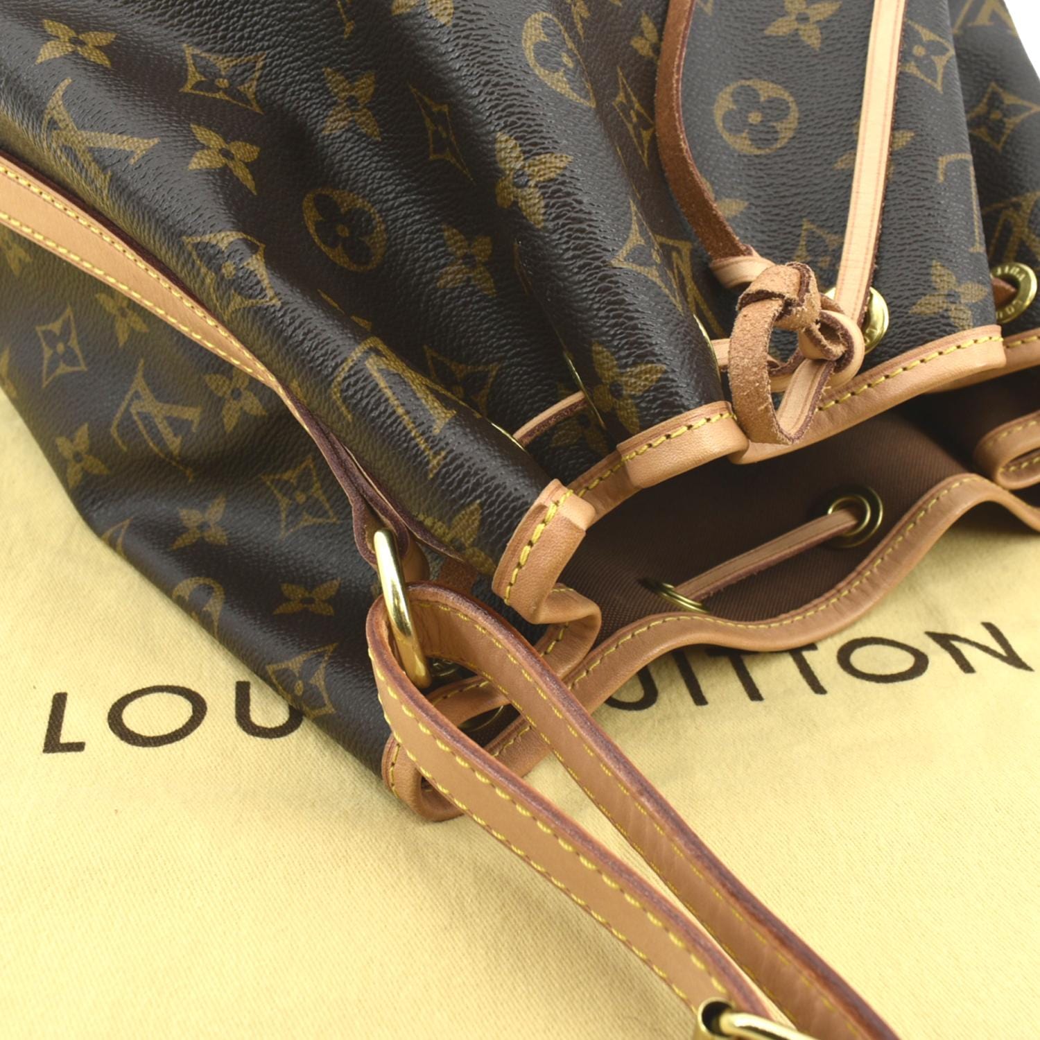 Comparison between the Louis Vuitton Petit Noe and Delightful pm 