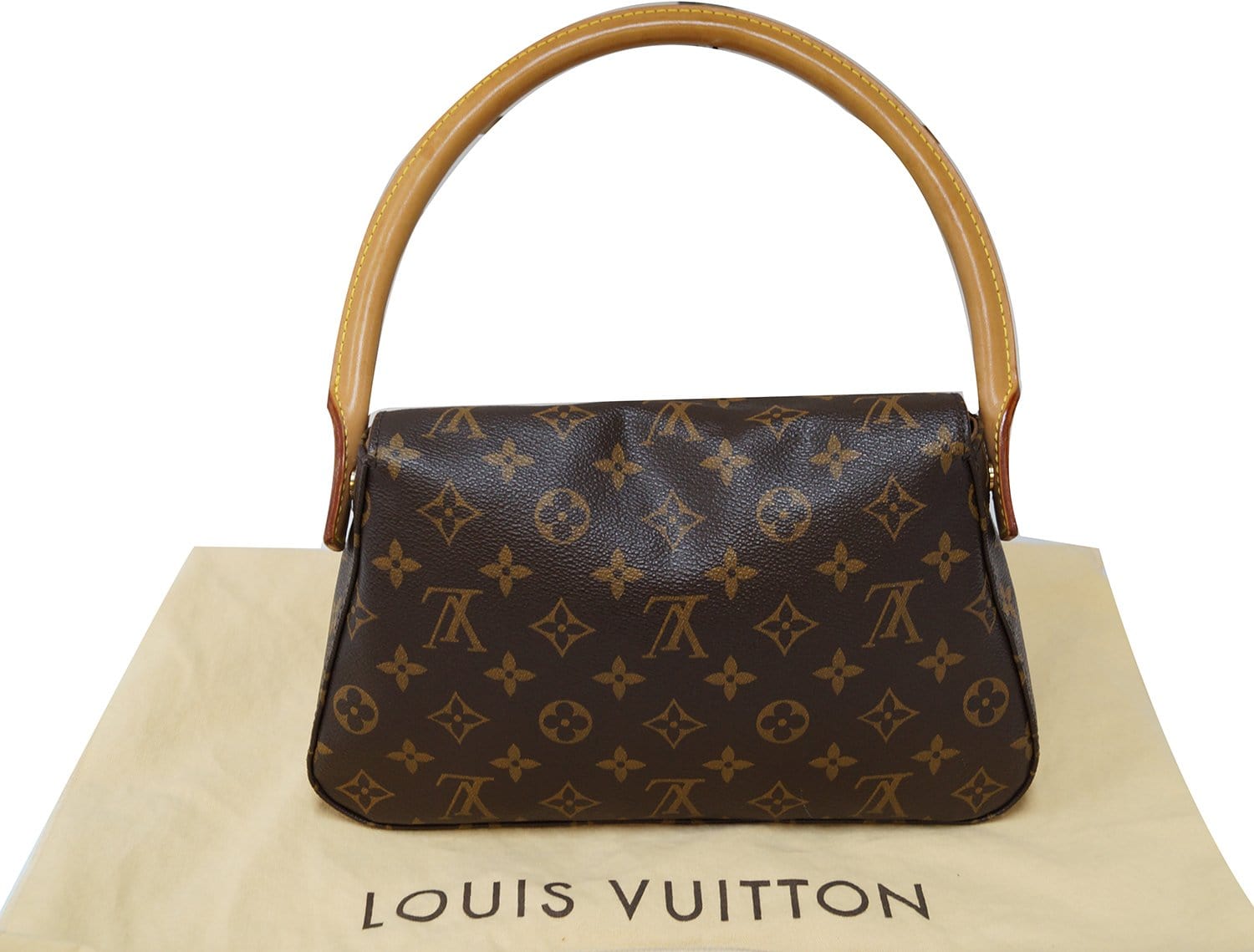 Louis Vuitton LOOP BAG in 2023  Brown handbag, Compact accessories,  Affordable bag