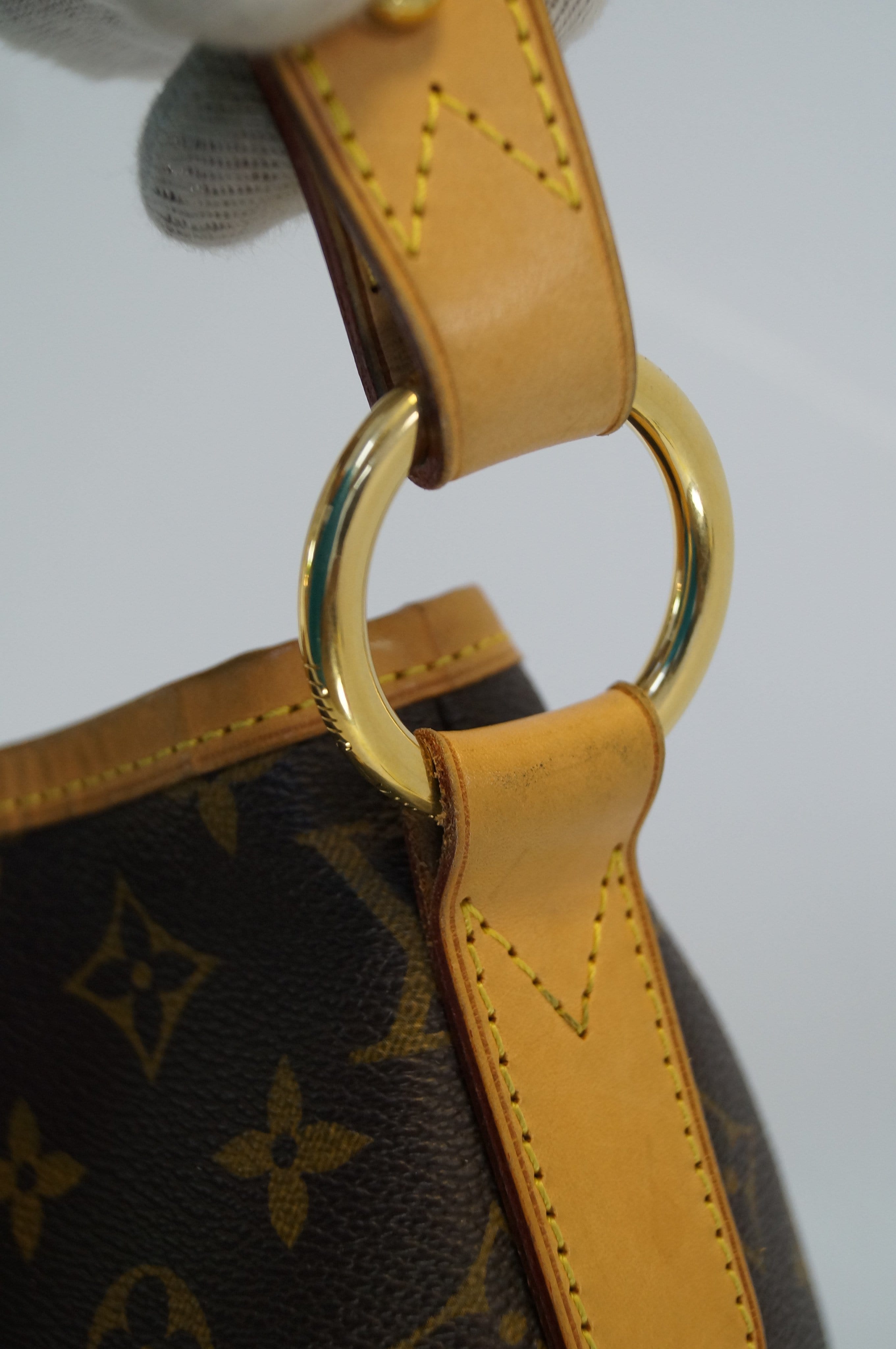 Louis Vuitton Delightful GM – yourvintagelvoe