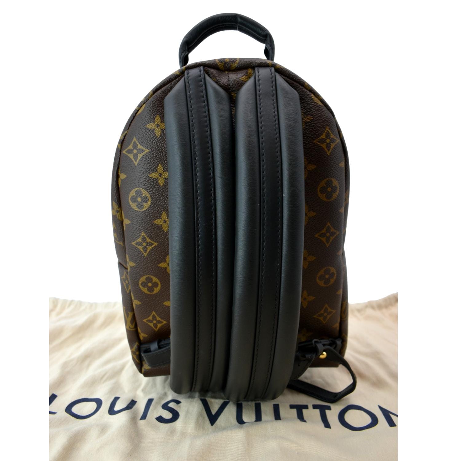 Louis Vuitton Monogram Palm Springs PM M44871 Brown Cloth ref.976526 - Joli  Closet