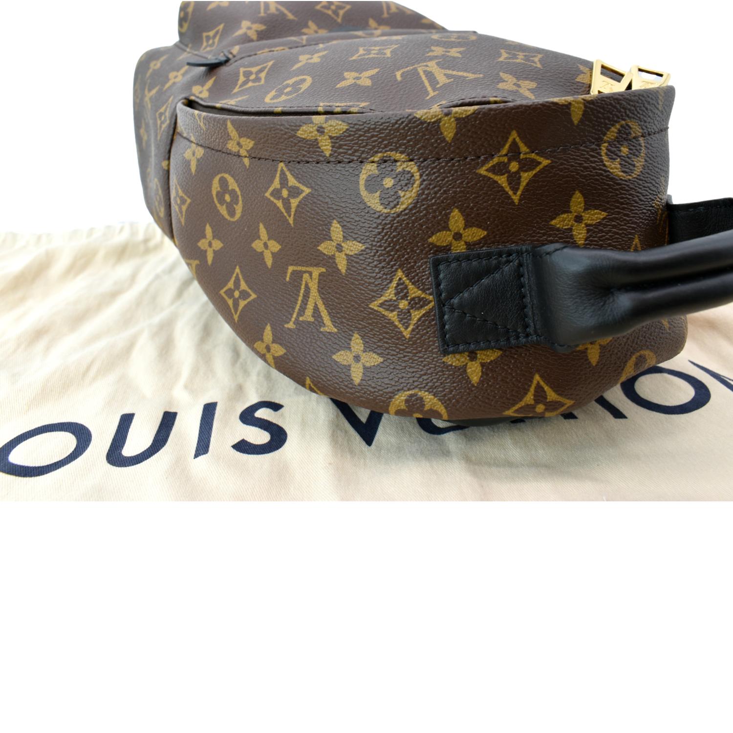Palm springs leather backpack Louis Vuitton Brown in Leather - 36191501